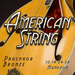 10-14-24-31 Mandolin Strings