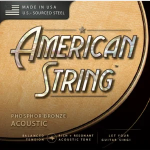 Phosphor Bronze Acoustic