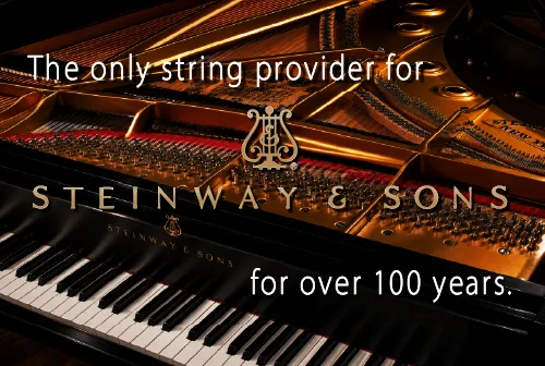 SteinwayAsset 170